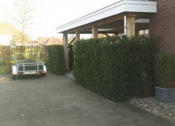 Het geheel eiken overkapping
